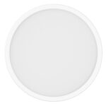 Xiaomi Smart Ceiling Light D30 (BHR9934GL) (XIABHR9934GL) - SCAX