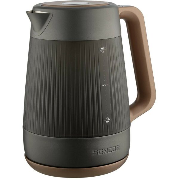 Βραστήρας με Γυάλινη Κανάτα και Επιλόγη Θερμοκρασίας 1