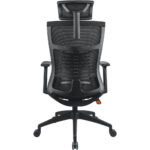 Στήριξη στην Πλάτη και Ρυθμιζόμενα Μπράτσα και Προσκέφαλο Μέγ. Βάρος 120kg - SCAX